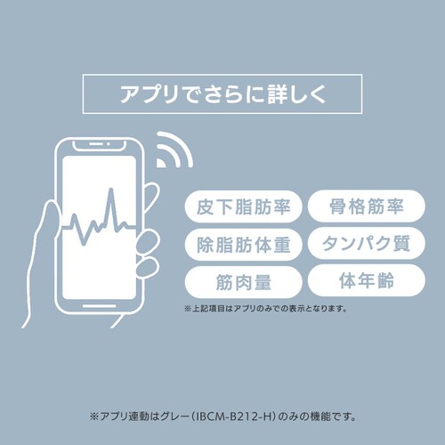 ̏dv ̑gv X}z A ̑gv IBCM-B212-H O[_10