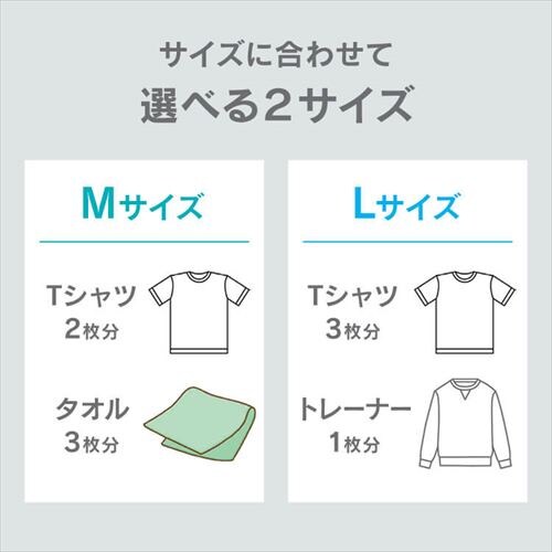 ߗވk ߗޗp 芪^Cv LTCY ASK-TL_3