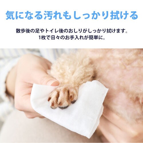 y2160zN[ybgPA gCɗEFbgeBbV 72~30 NPWT-1P _2