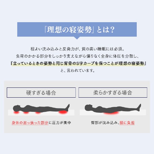 }bgX VO O܂ |PbgRC 10p PMTS10H-3S Sheep_4