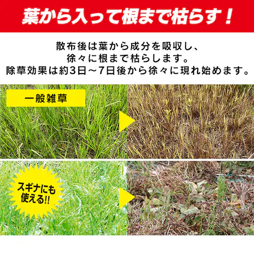 【2本セット】速効除草剤2L WSJ-2L _2