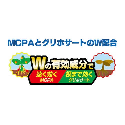 【2本セット】速効除草剤2L WSJ-2L _3
