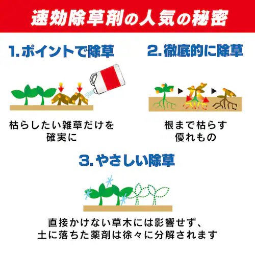 2L WSJ-2L _4