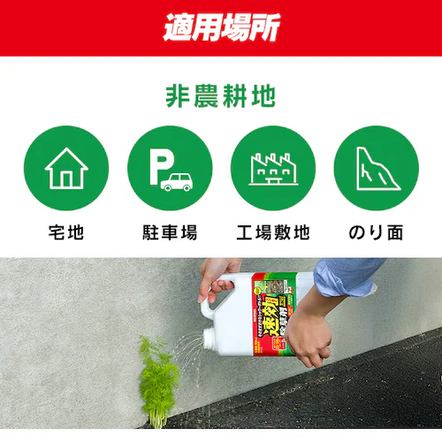 【2本セット】速効除草剤2L WSJ-2L _5