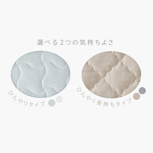 ⊴~pbh VOTCY Ђ蒷 BSP-NPEPS5-S O[W_2