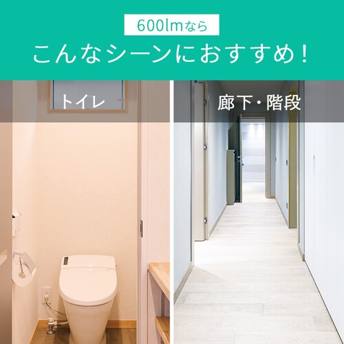 ���^�V�[�����O 600lm �d���F �l������ SCL6L-HK_3