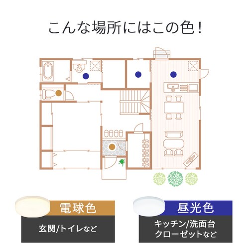 ���^�V�[�����O 600lm �d���F �l������ SCL6L-HK_7