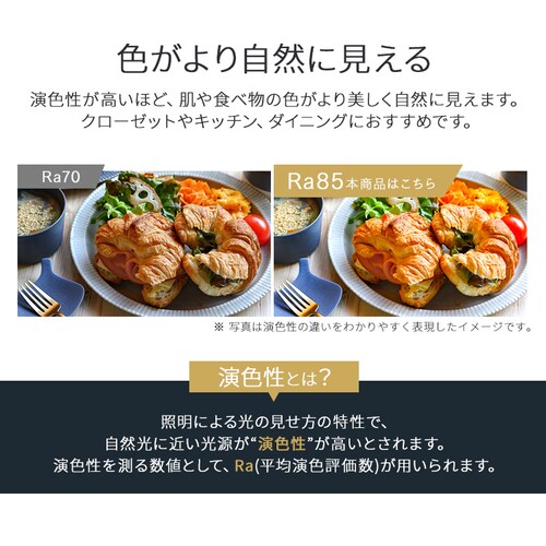 ���^�V�[�����O 600lm �d���F �l������ SCL6L-HK_8