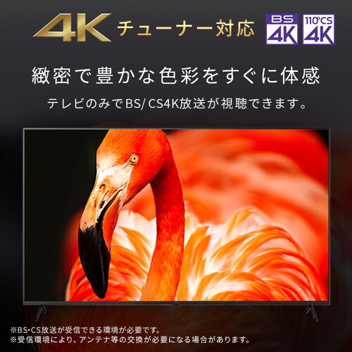 LUCA ter GoogleTV 65V^ 4K HDR LT-65UGX-F1_4