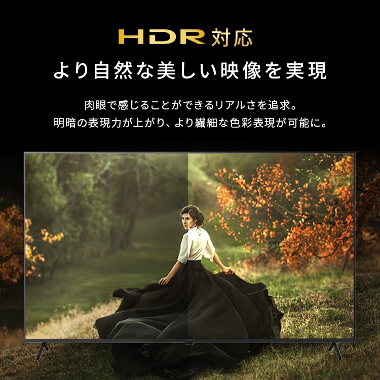 LUCA 液晶テレビ GoogleTV搭載 65V型 設置費込み 4K HDR LT-65UGX-F1