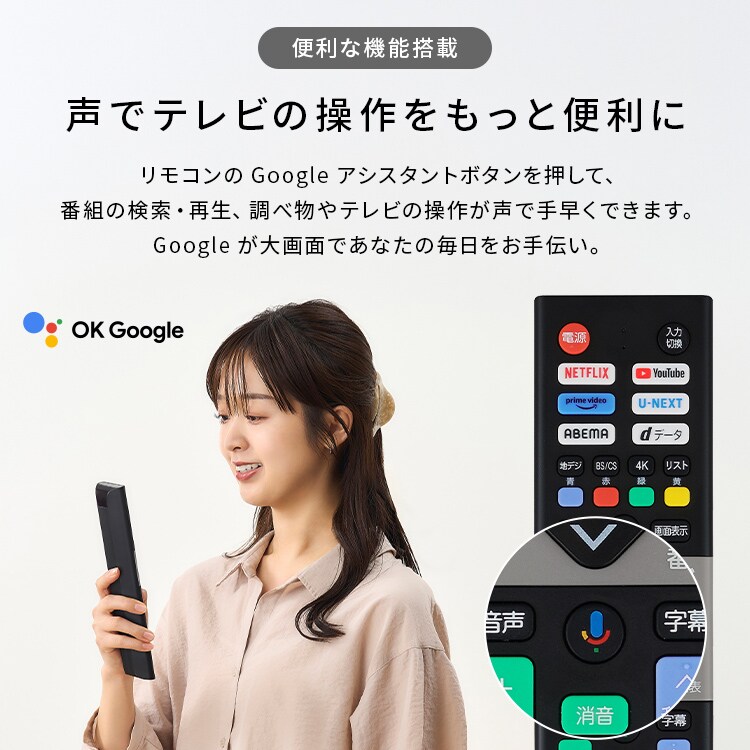 LUCA 液晶テレビ GoogleTV搭載 65V型 設置費込み 4K HDR LT