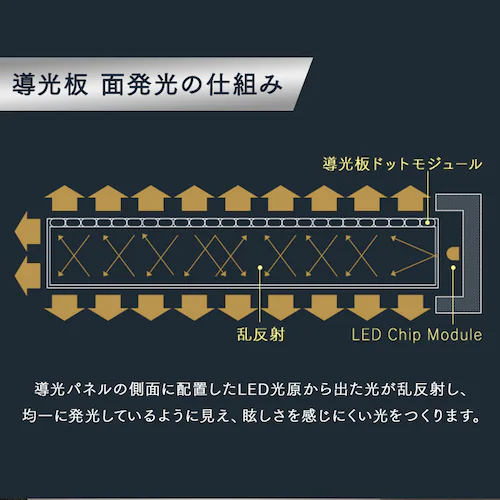 ^V[OCg  1000lm F SCL100D-PKmBn_3