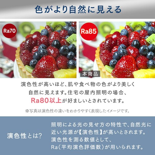 ^V[OCg  1000lm F SCL100D-PKmBn_11