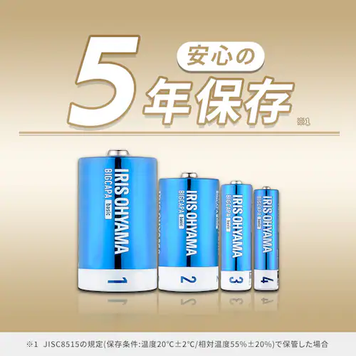 BIGCAPA basic α アルカリ乾電池 単4形×100本セット LR03Bba/100SET_2