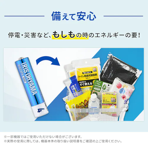 BIGCAPA basic α アルカリ乾電池 単4形×100本セット LR03Bba/100SET_5