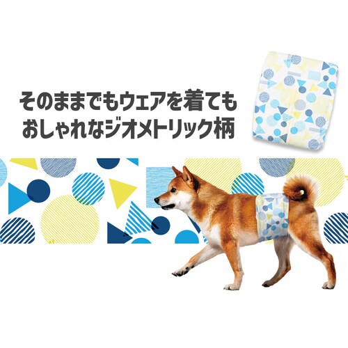 2_Zbg j̎qpybgނ XSTCY STCY 4 MNPD_14