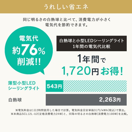 ^V[OCg ` 2000lm dF SCL20L-U2_8