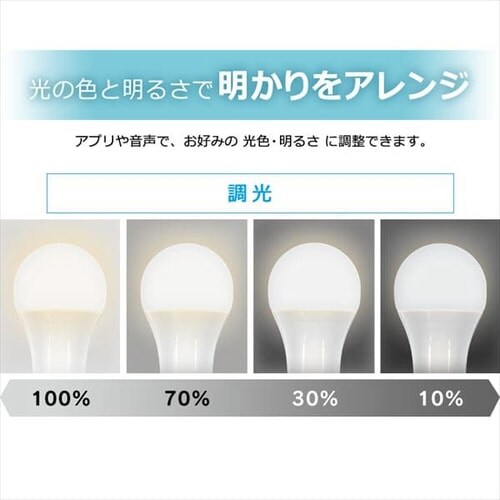 GoogleHomeMini `[N GA00210-JP{LEDd E26 Lz 60` RGBWF X}[gXs[J[Ή LDA10F-G/D-86AITG_12