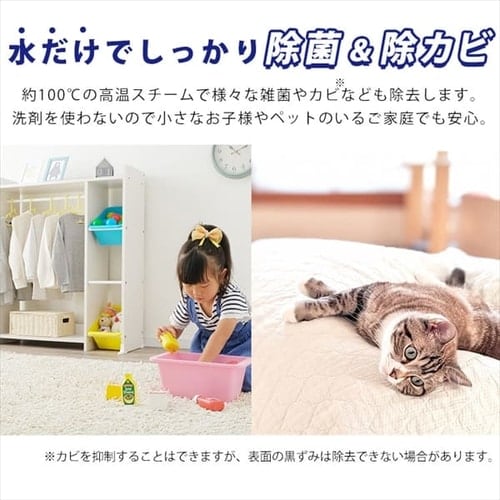リンサークリーナー コンパクト 温水洗浄 RNS-300 カーペット
