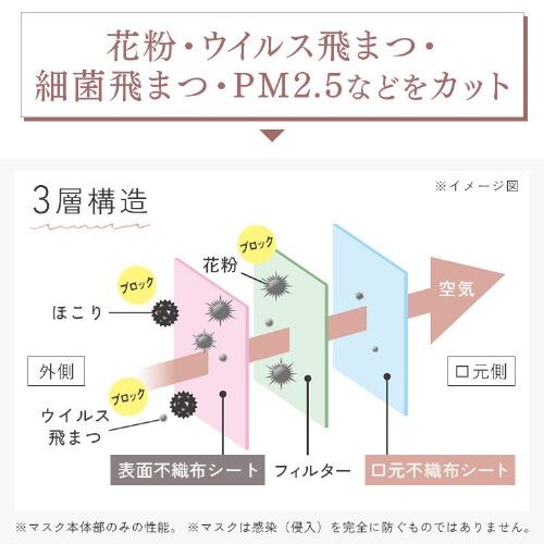 y20z FASHIONABLE MASK J[}XNӂTCY y[x[W_24