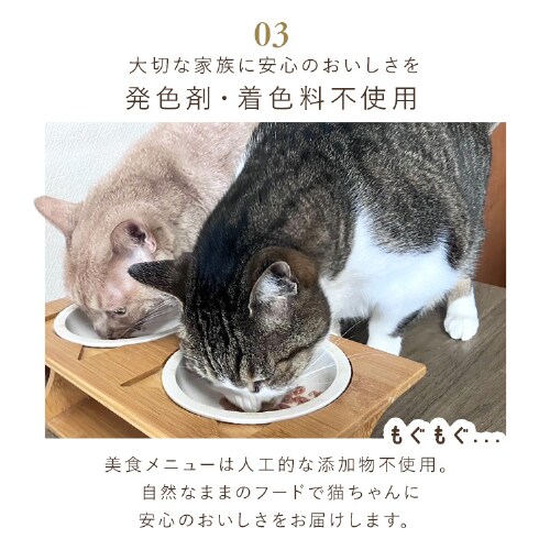 y36pbNzHj[ ܂E 60g~3P P-60M~3P_8