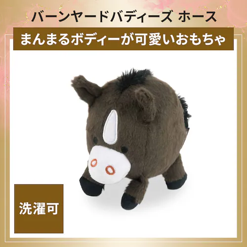 犬用お正月満喫セット_4