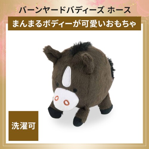 �L�p���������i�Z�b�g_4