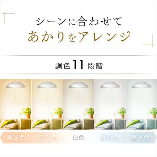 LED y_gCg 12  F HEHsv Rt 5Nۏ PL12DL-YA2_6