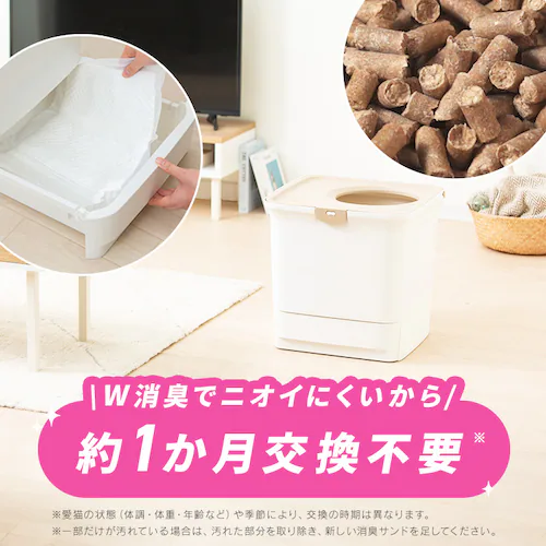 �_��1�������̃X�^�[�^�[�Z�b�g�^���N���[�� ���L�V�X�e���g�C�� �ォ��^�C�v �z���C�g/�x�[�W�� RSTU-43 (���L�T���h �؍��i�傫�߁j2.2L/���L�V�[�g 4�� �t���j_2