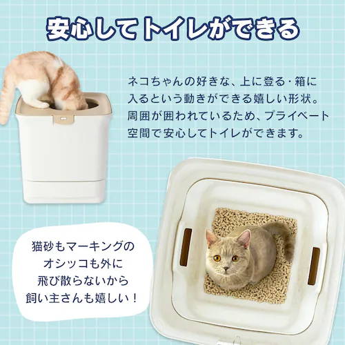 �_��1�������̃X�^�[�^�[�Z�b�g�^���N���[�� ���L�V�X�e���g�C�� �ォ��^�C�v �z���C�g/�x�[�W�� RSTU-43 (���L�T���h �؍��i�傫�߁j2.2L/���L�V�[�g 4�� �t���j_4