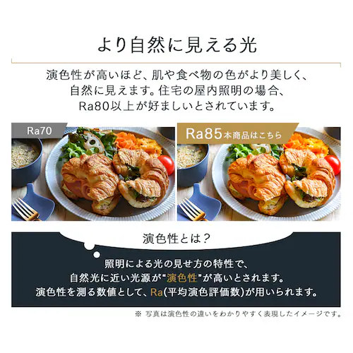 パネルライト下面発光 8畳 CEK-8DLPKH_12