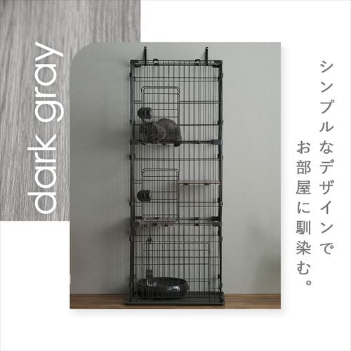 RpNgLbgP[WRi CCC-168 i`_3
