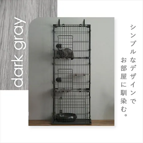 RpNgLbgP[WRi CCC-168 i`_3