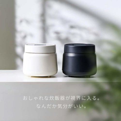 炊飯器 3合 マイコン式 RC-MSA30-W ホワイト 299171