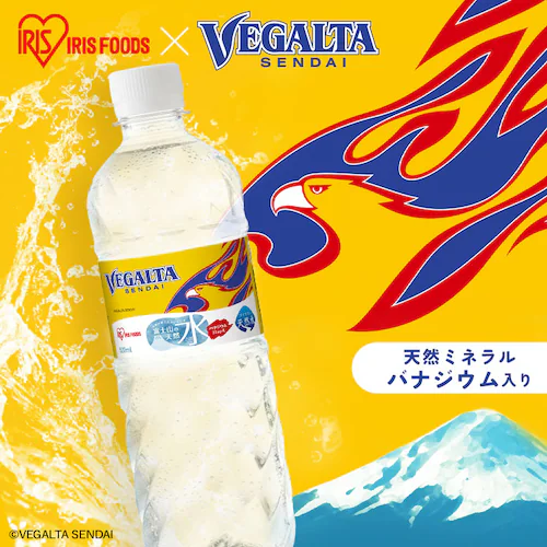 xK^ xmR̓VR 500ml~24{_2