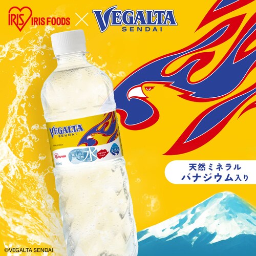 xK^ xmR̓VR 500ml~24{_2