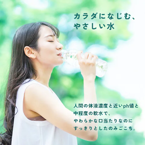 xK^ xmR̓VR 500ml~24{_4