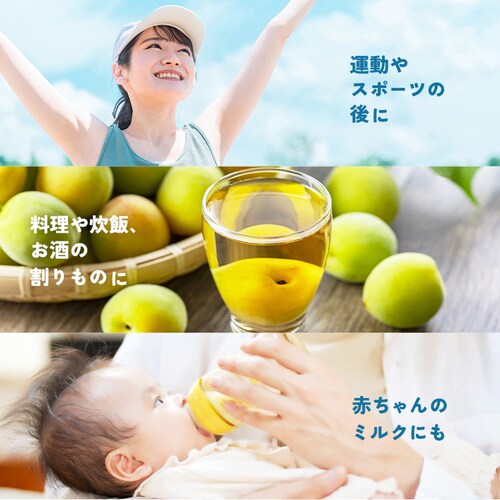 xK^ xmR̓VR 500ml~24{_6