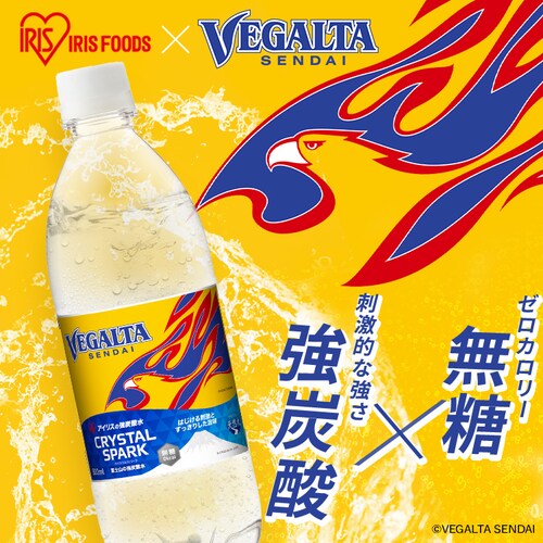 xK^ xmR̓VR 500ml~24{_9