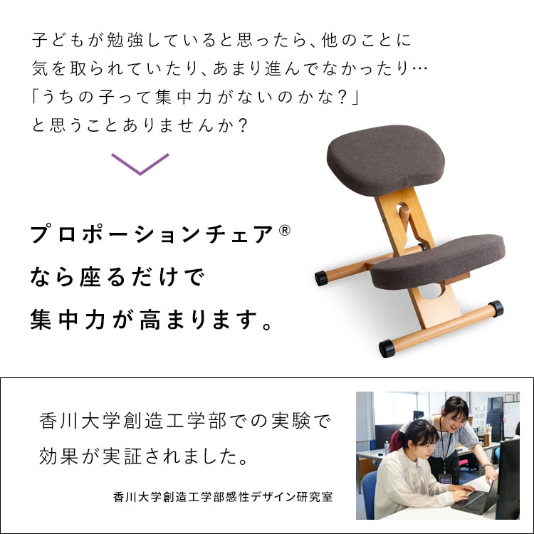 宮武製作所 プロポーションチェア CH-88W ブラック【時間指定