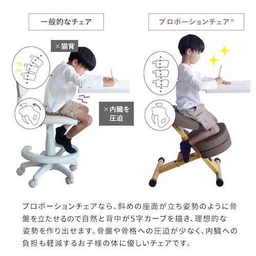 宮武製作所 プロポーションチェア CH-88W ブラック【時間指定不可】【プラザセレクト】【代引き不可】_6