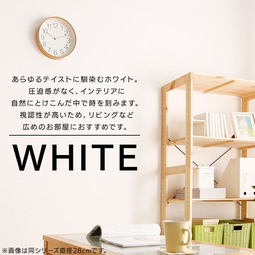 プライウッド掛時計 22cm 全4色【プラザセレクト】_5