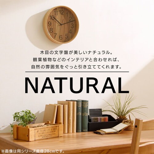 プライウッド掛時計 22cm 全4色【プラザセレクト】_6