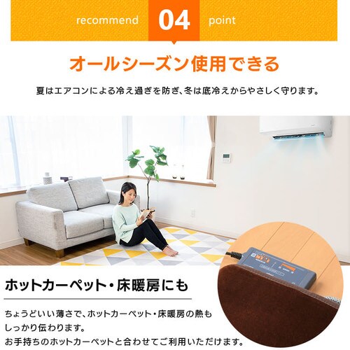 60％以上節約 アイリスプラザ カーペット ラグ 洗える ラグカーペット マット 130×185cm 滑り止め付き ホットカーペット対応 2畳 防ダニ  フランネル さ arkhitek.co.jp