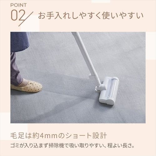 ラグ フランネル 130×185cm FNR-RC-1318 ベージュ 7072645 │アイリス