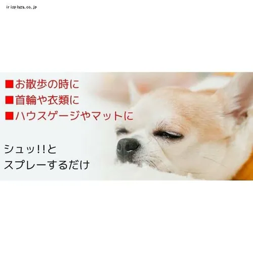 ybgj[ oOItXv[ 300ml _3