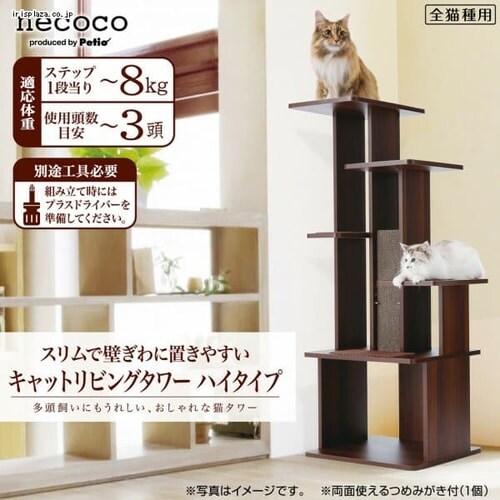 yeBI necoco LbgrO^[nC _3