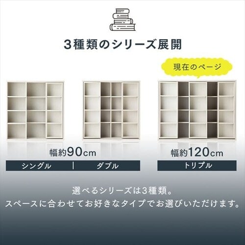 R~bNbN XChgv CST-1200 S3F_2