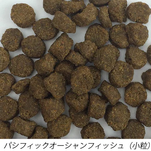{rAR t@[XgCghbO POtBbV X[oCc 2.3kg yvUZNgz_3