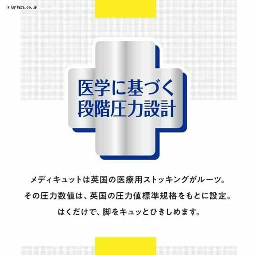 QȂ烁fBLbgXpbc L x_[ _8
